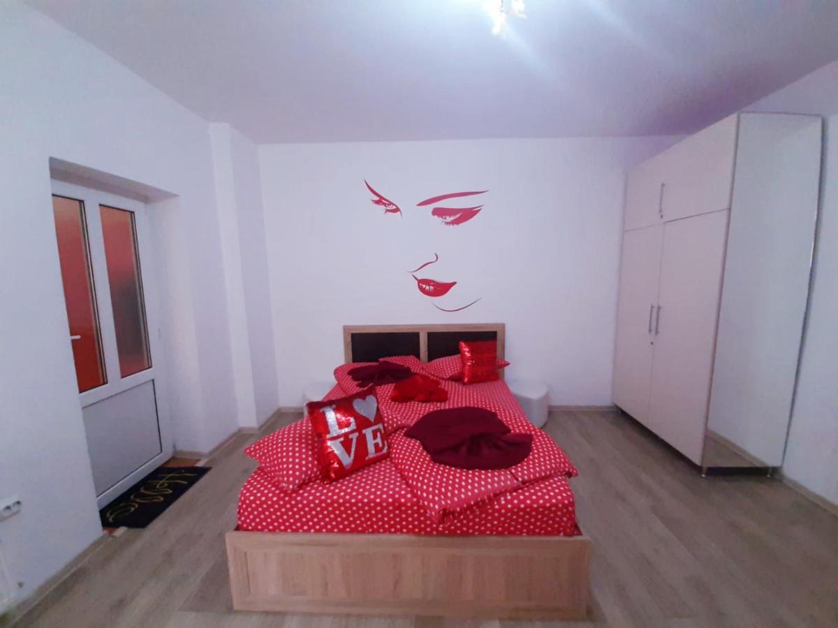 Cazare Apartment
